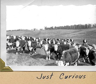 6 just curious